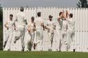 Radlett celebrate taking Gregg Cooper's wicket