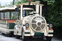 Temporary closure - the Lost Madagascar Train at Colchester Zoo