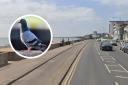 Pigeon shot by air gun sparks probe into 'suspicious' bird deaths in Southend