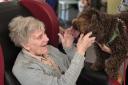 Southerndown Care Home's National Dog Day celebrations