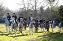 Essex and Suffolk Hunt on a trail hunt