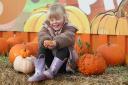 Happy - Lyla Catermole, 4, relaxing among the pumpkins