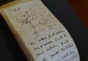 One notebook contained Charles Darwin's famous 1837 Tree of Life sketch, which sets out the theory of evolution