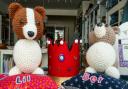 Corgis made of British wool in the Craft Days shop window, Saffron Walden to help to celebrate the Platinum Jubilee