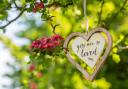 Visitors can collect commemorative wooden hearts which they can personalise and lay at communal memorial trees