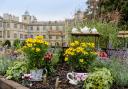 Last year's BBC Gardeners' World Autumn Fair at Audley End