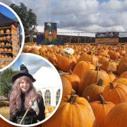 The Pumpkin House and Pumpkin Patch at Cammas Hall Farm