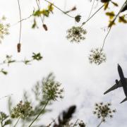 London Stansted Airport's passengers numbers are out