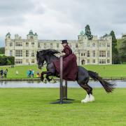 The Victorian Horses event will return to Audley End.