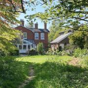 Grove Lodge, Saffron Walden is taking part in the National Garden Scheme