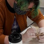 Jesse McCabe, a Laboratory Research Scientist at the Francis Crick Institute carefully examines a bone fragment in the research room at the Shirehill store.