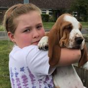 Beth is raising money in Wimbish by selling home baked dog biscuits