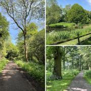 Essex has plenty of picturesque locations for circular walks