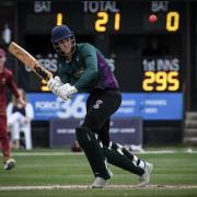 Harry Gallian batting for Saffron Walden. Picture: JPSPORTSPHOTOGRAPHY