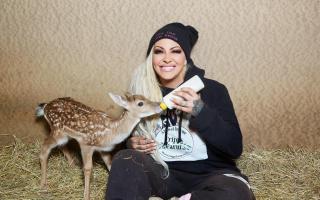 Ex-glamour model Jodie Marsh at Fripps Farm