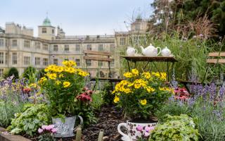 This gardening event will feature ‘Showcase Gardens’ and ‘Beautiful Borders’