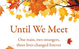 'Until We Meet' by E. V. Radwinter