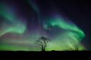 Northern Lights could put on ‘breathtaking’ display over the North East this weekend