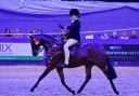 Beatrice competing at the Horse of the Year Show