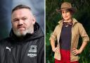 Wayne Rooney said he would love to enter the I'm A Celeb jungle in the future