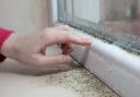 Fed up of wiping condensation off your windows?