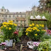 This gardening event will feature ‘Showcase Gardens’ and ‘Beautiful Borders’