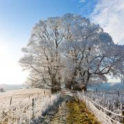 Temperatures are expected to rapidly fall this week, and could drop below 0C in parts of the country as early as this evening