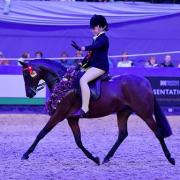 Beatrice competing at the Horse of the Year Show