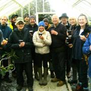 The crocus planting team with helpers