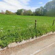 Looking south towards the site from Hall Road, Elsenham