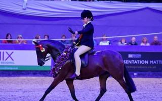 Beatrice competing at the Horse of the Year Show